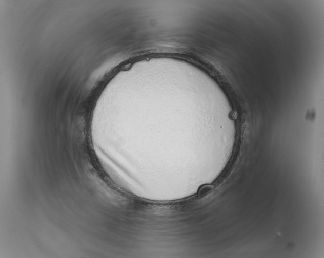 X0000111131402200907211103