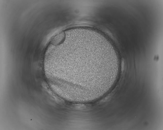 X0000111131405200907211103