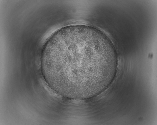 X0000111131407200907211103