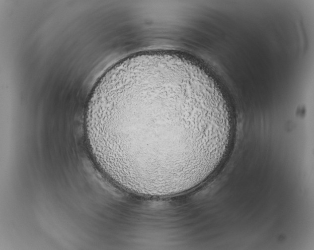 X0000111131409200907211103