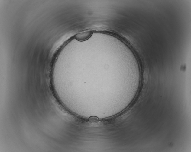 X0000111131410200907211103