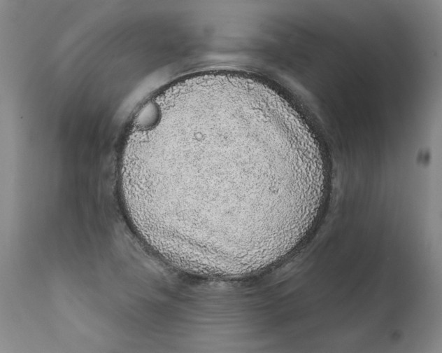 X0000111131411200907211103