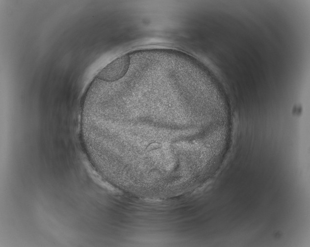 X0000111131413200907211103