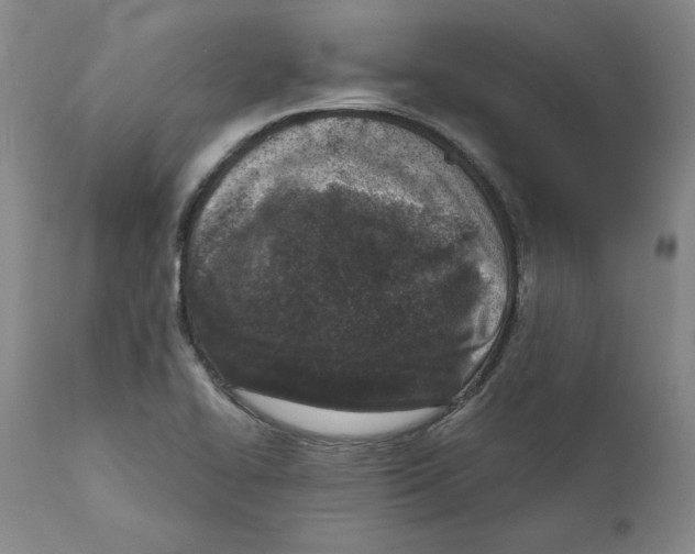 X0000111131414200907211103