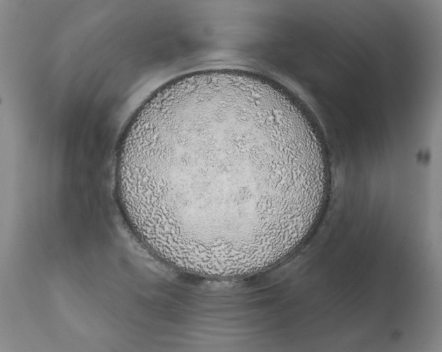 X0000111131415200907211103