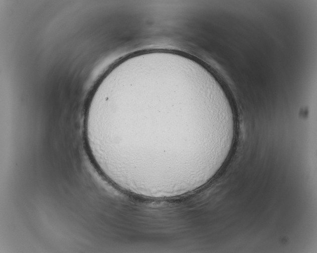 X0000111131416200907211103