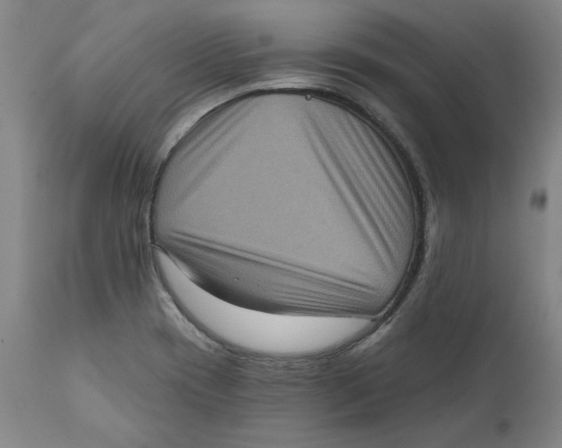 X0000111131417200907211103