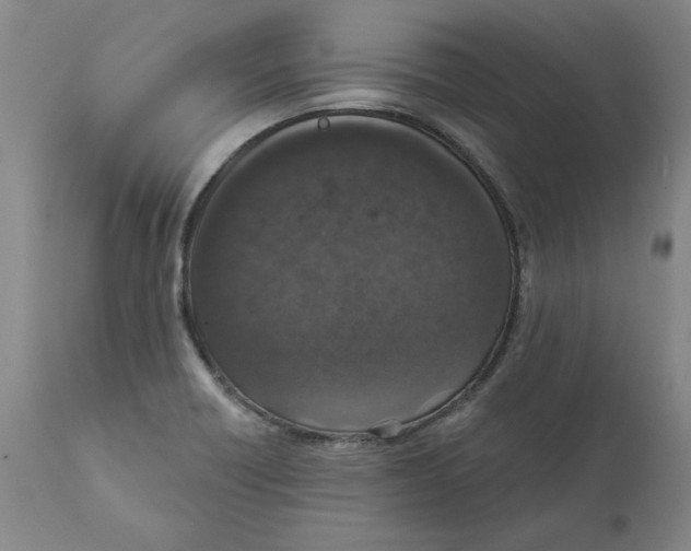X0000111131418200907211103