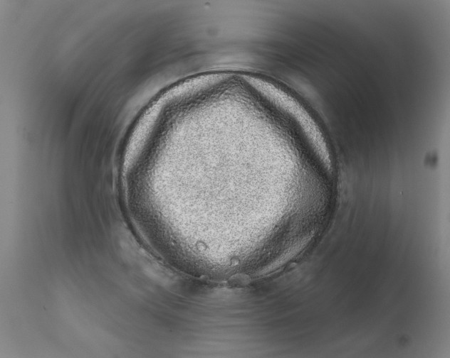 X0000111131419200907211103