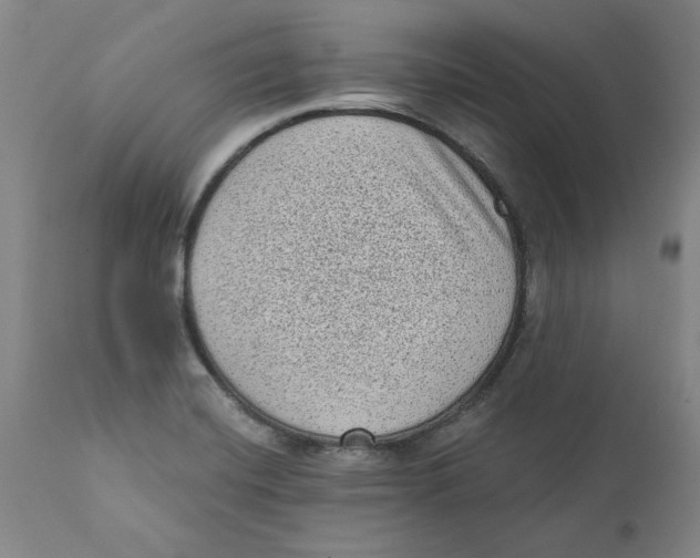 X0000111131420200907211103