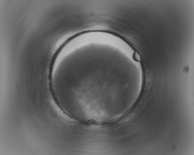 X0000111131422200907211103