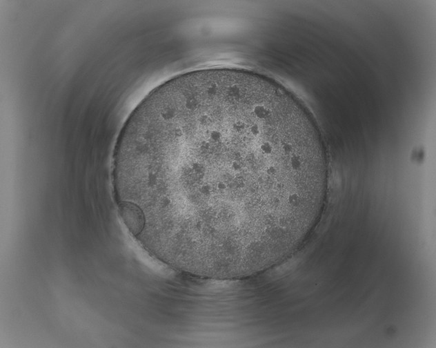 X0000111131423200907211103
