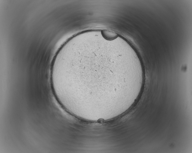 X0000111131424200907211103