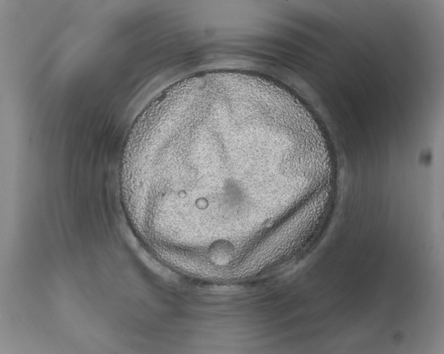 X0000111131425200907211103