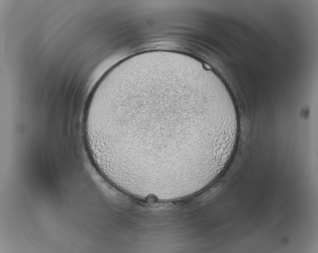 X0000111131426200907211103