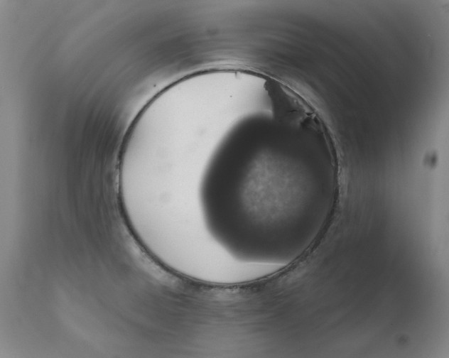 X0000111131428200907211103