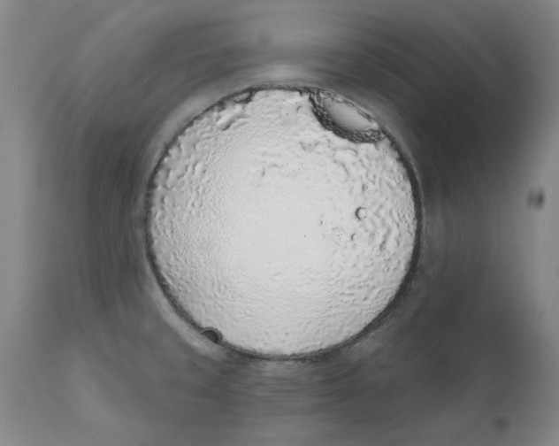 X0000111131429200907211103