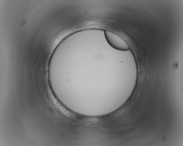 X0000111131431200907211103