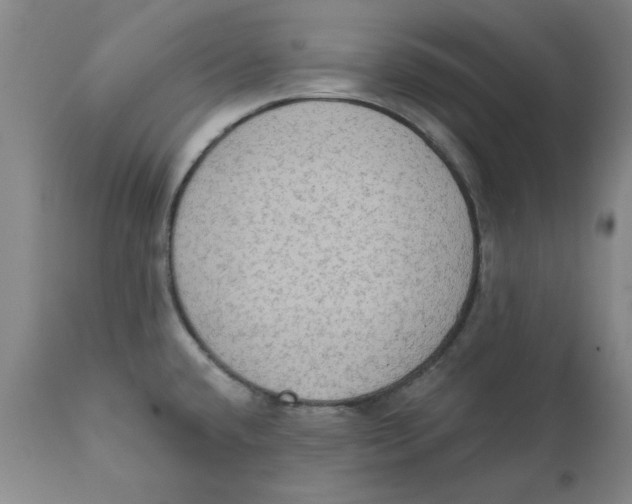 X0000111131432200907211103