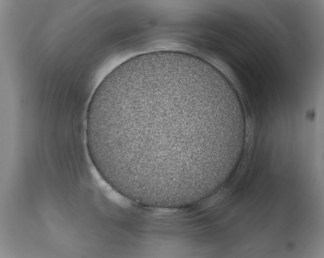 X0000111131439200907211103