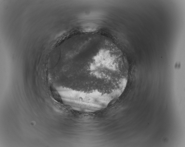 X0000111131441200907211102