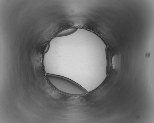 X0000111131443200907211102