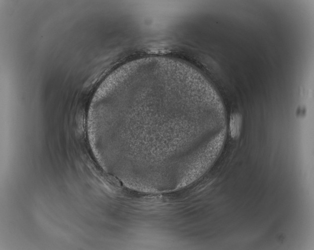 X0000111131444200907211102