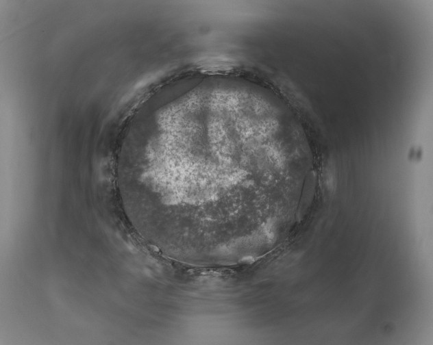X0000111131445200907211102
