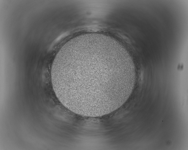 X0000111131446200907211102