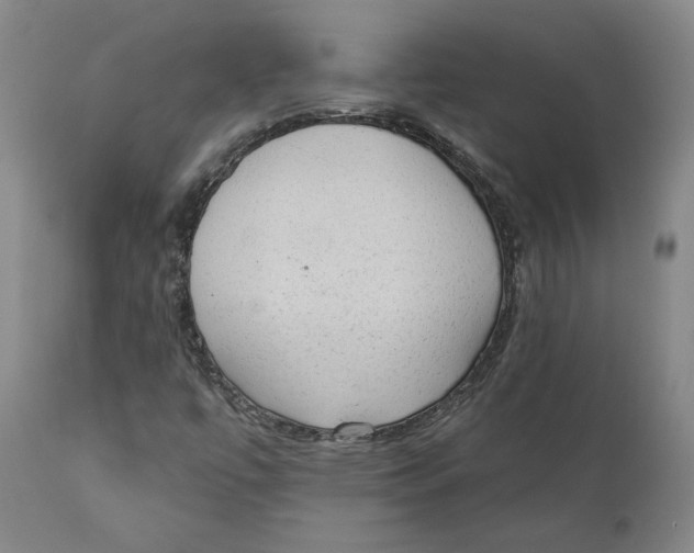 X0000111131447200907211102
