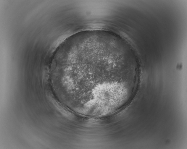 X0000111131449200907211102