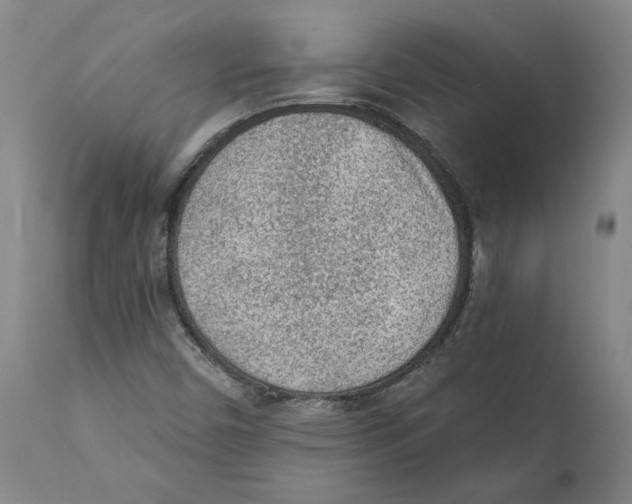 X0000111131450200907211102
