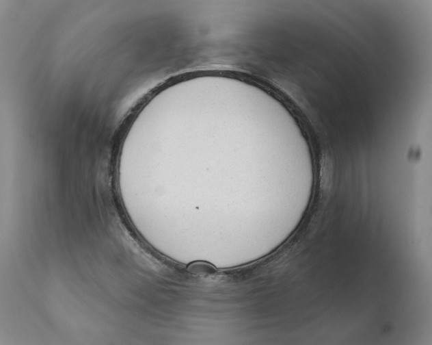 X0000111131452200907211102