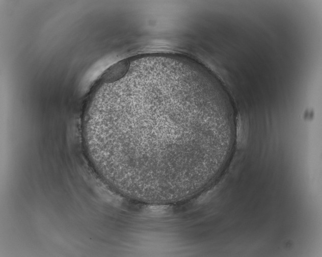 X0000111131453200907211102