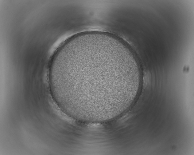 X0000111131454200907211102