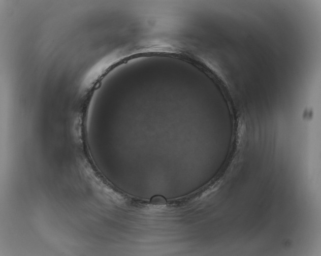X0000111131455200907211102
