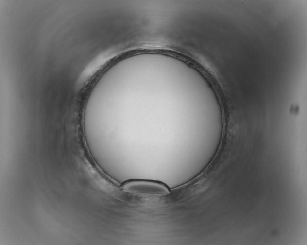 X0000111131456200907211102