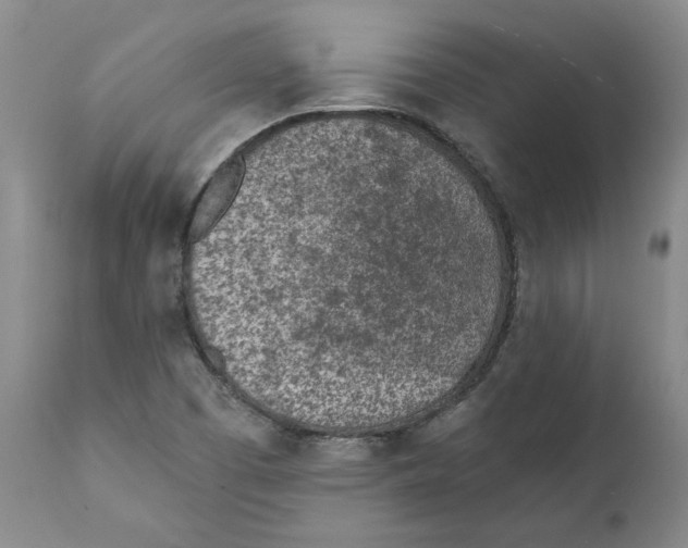 X0000111131457200907211102