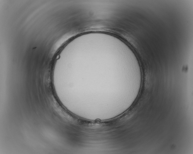 X0000111131458200907211102