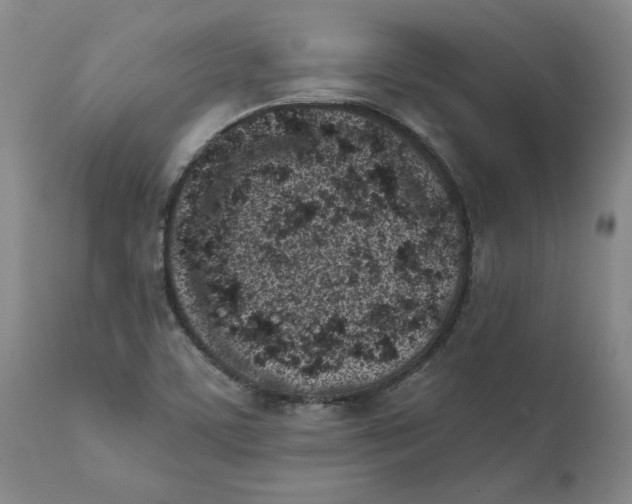 X0000111131459200907211102