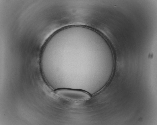 X0000111131460200907211102