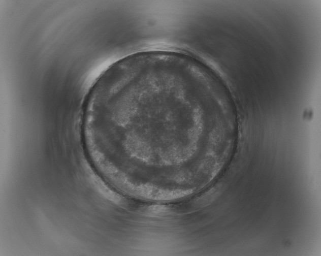X0000111131463200907211102