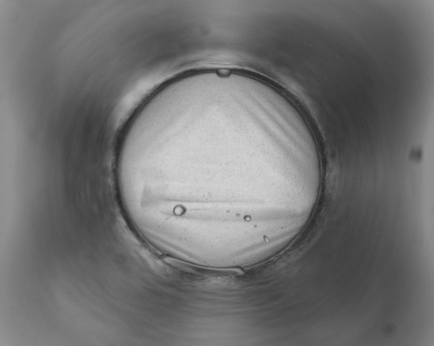 X0000111131464200907211102