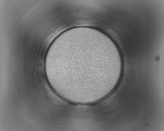 X0000111131465200907211102