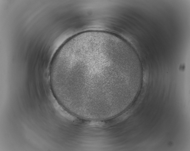 X0000111131466200907211102