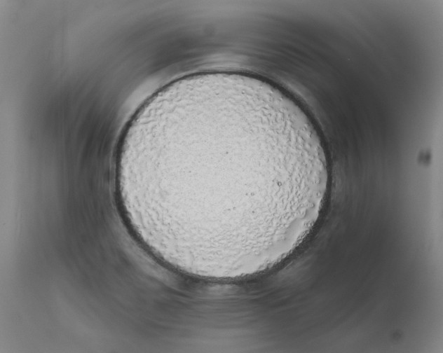 X0000111131467200907211102