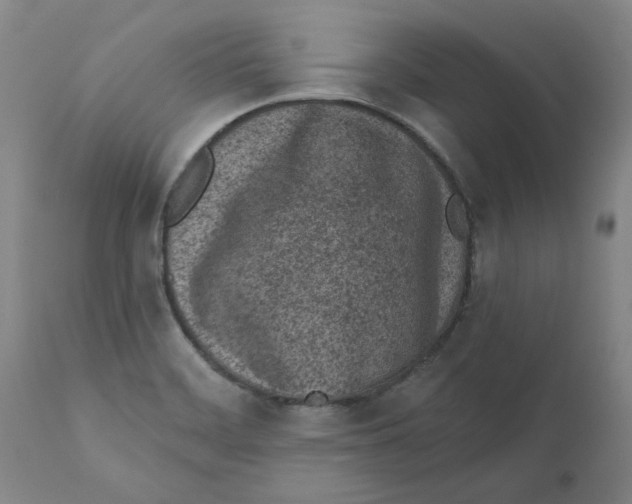X0000111131468200907211102