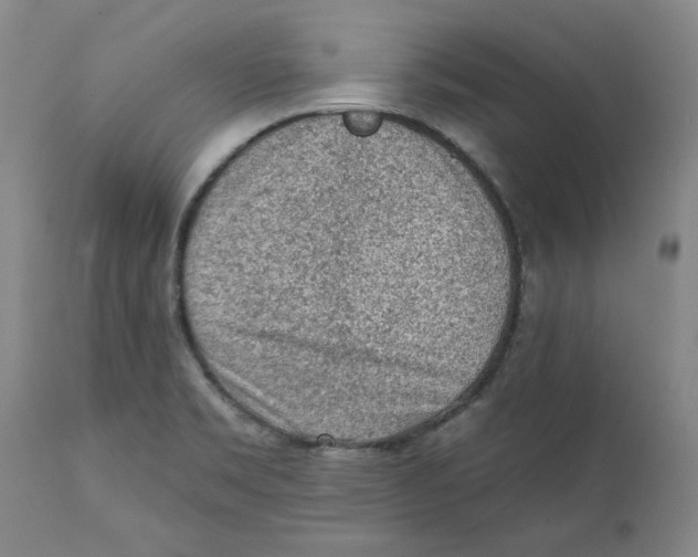 X0000111131469200907211102