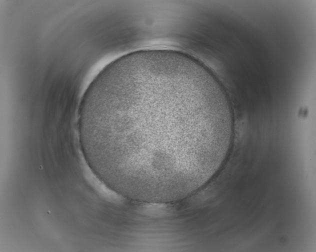 X0000111131470200907211102