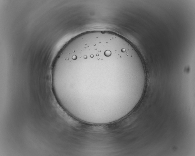 X0000111131472200907211102